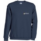 color:navy